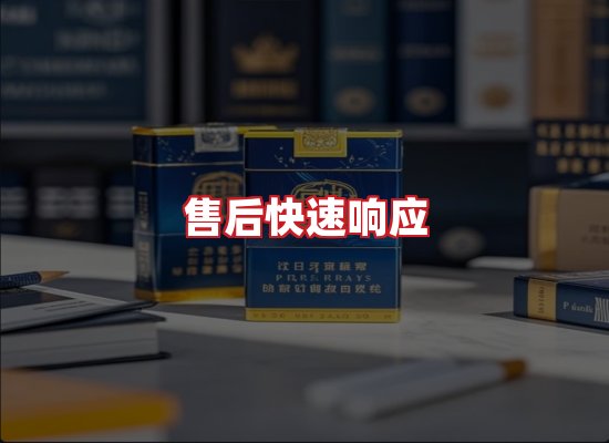 专业团队